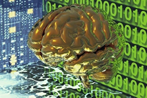 Stampe di Cervello digitale. Artefatto concettuale di un computer con una mente virtuale, dotata di pannelli elettronici e numeri binari Immagini datate 2003 aprile: Cervello digitale