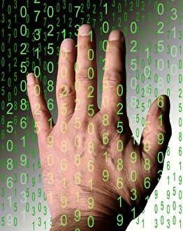 Stampe di Model rilasciato. Conoscenza digitale, immagine concettuale. La mano umana che si infila nella corrente di numeri, rappresenta una ricerca della conoscenza nell'era dell'informazione digitale Immagini datate 2011 maggio: Conoscenza digitale immagine concettuale