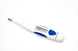 Stampe di Termometro digitale. La lettura di 36,3 gradi Celsius è una temperatura normale del corpo umano Immagini datate 2009 maggio: Termometro digitale
