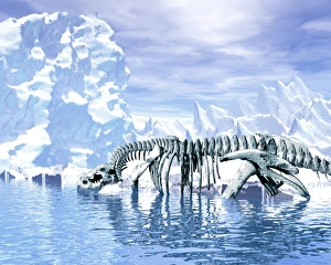 Dinosaur Fossils Stampe: Dinosaur bones