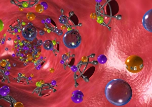 Stampe di Effetto diuretico. L'arte informatica dell'effetto dei diuretici (barriere grigie) su un tubo renale (rosso) all'interno del rene Immagini datate novembre 2007: Effetto diuretico, arte computazionale