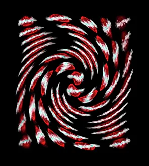 IL DNA Stampe: Scomposizione delle cellule