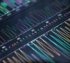 IL DNA Stampe: Analisi del DNA