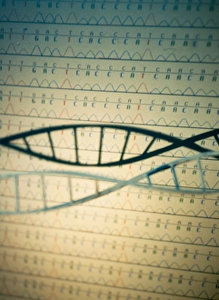 IL DNA Stampe: Aminoacidi e una sequenza genetica