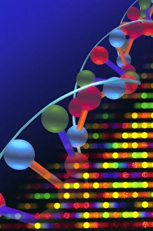 Molecular Biology Images Stampe: DNA microarray and double helix