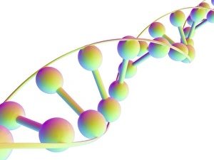 Molecola di DNA, arte computazionale