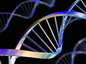 IL DNA Stampe: Molecole di DNA