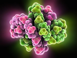 Molecular Structure Of DNA Stampe: DNA quadruplex, molecular model
