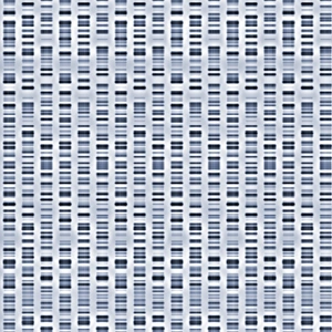 Genetic Code Explanation Stampe: DNA sequences