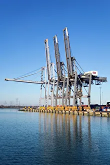 Stampe di I gru connessi al molo. Queste gru sono progettate per l'alto carico e scarico dei conteneri in alta velocità Immagini datate 2008 luglio: Crani lungo la riva del porto