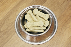 Pet Photography Ideas Stampe: Dog biscuits