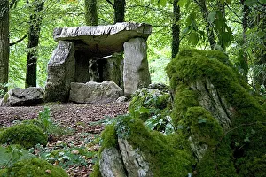 Stampe di Il dolmen al Craggaunowen Project nella Contea di Clare, Irlanda. Un dolmen, noto anche come tumulo portale, è una tomba megalitica a singola camera Megalitico Stampe: Dolmen