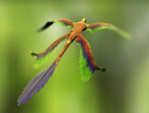 Motion Blur Effect Images Stampe: e4460690