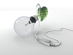 Energy Saving Light Bulb Stampe: Electric light bulb, leaf and switch
