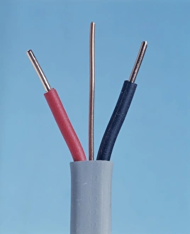 Stampe di Cavo elettrico. Sezione tagliata di un cavo a doppia corrente ed earth. I fili neutrali (nero) e vivaci (rosso) sono isolati individuamente. Il filo terra non lo è Immagini datate 2004 luglio: Cavo elettrico