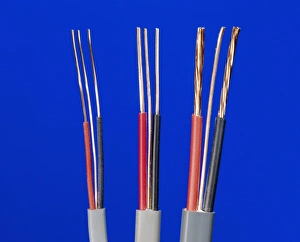 Stampe di Cavi elettrici. Ogni cavo è composto da un filo vivace, neutro ed earth wire, isolato all'interno di sheaths in gomma. I fili sono fatti di rame che è un ottimo conduttore Immagini datate 2009 marzo: Cavi electricali