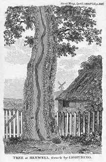 Stampe di Un'incisione che rappresenta un albero che si è spezzato dopo essere stato colpito da fulmine ad Hanwell, ovest di Londra Immagini datate 2010 novembre: Incision di un albero spezzato dal fulmine