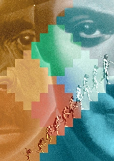 Human Evolution Stampe: Evolution