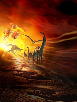 Immagini datate 8 novembre 2012: Evoluzione, immagine concettuale