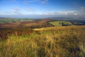 West Country Landscapes Stampe: Exmoor, Devon