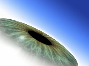 Iris Anatomy Stampe: Eye, computer artwork