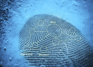 Biometric Identification Stampe: Fingerprint, computer artwork