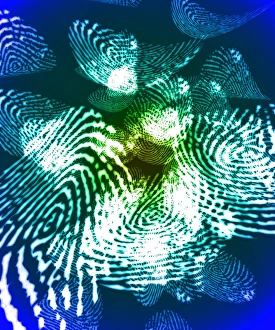 Biometric Identification Stampe: Fingerprints, computer artwork