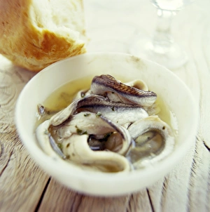 Healthy Protein Sources Stampe: Fish and bread meal