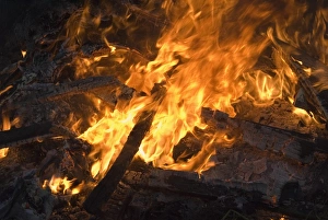 Guy Fawkes Night Images Stampe: Flames from a bonfire