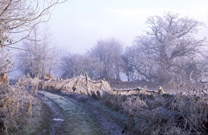Frosty Landscape Photography Stampe: Flood plain