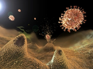 Viral Surface Proteins Stampe: Flu viruses