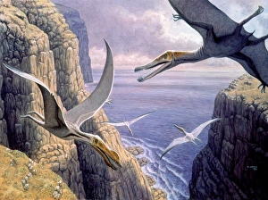 Late Cretaceous Period Stampe: Flying pterosaurs