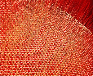 Compound Eye SEM Stampe: Flys eye, SEM