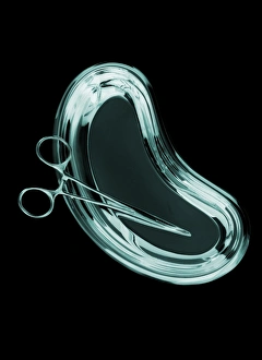 Operating Room Equipment Stampe: Forceps in a kidney dish