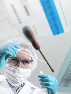 Deoxyribonucleic Acid Stampe: Forensic science