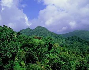 Stampe di Le foreste della Granada Immagini datate 2004 luglio: Le foreste di Grenada
