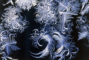 Stampe di I patterni di gelo sulla vetro. Questa neve ghiacciata si forma quando la temperatura scende sotto i 0 gradi Celsius Immagini datate 1° settembre 2005: Disegni di neve gelata