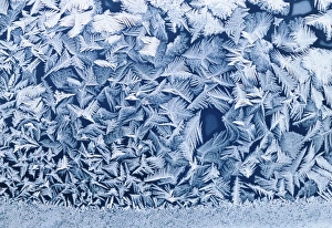 Cold Weather Photography Stampe: Frost on window