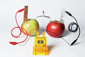 Stampe di Orologio alimentato da frutta. Nell'esperimento ogni mela è una batteria voltaggio cellulare. Le mele sono state connesse per creare un accumulo di carica elettrico Immagini datate 2010 novembre: Orologio alimentato da frutta