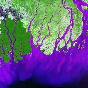 Asian Geography Map Stampe: Ganges Delta