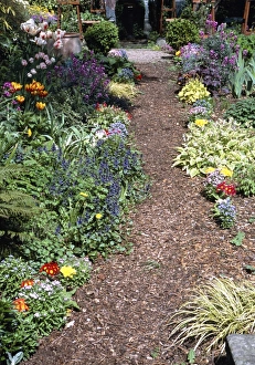 Spring Flower Arrangements Stampe: Garden path