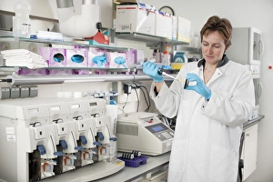 Stampe di È stato rilasciato il modello. Preparazione di array genetico. L'analista versa un campione preparato del DNA (acido desossiribonucleico) su uno scudo genetico o microarray Immagini datate 18 dicembre 2013: Preparazione del microarrays genetici C019/0273