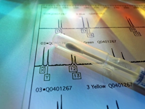 Deoxyribonucleic Acid Stampe: Genetic testing
