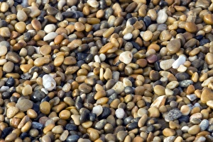 Coastal Erosion UK Stampe: Graded shingle