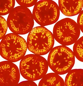 Stampe di Fette di pomodoro (Solanum lycopersicum) Grafica E Motivi Stampe: Fette di pomodoro
