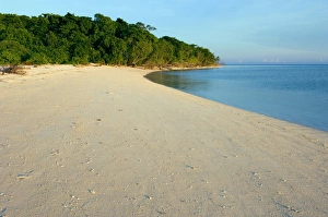 Turtle Conservation Efforts Stampe: Green turtle nesting beach