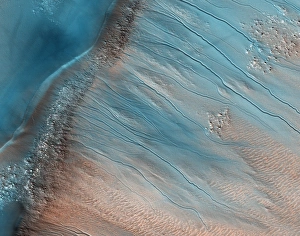 Martian Landscape Stampe: Gullies on Mars