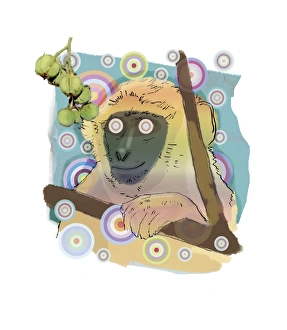 Euphorbiaceae Family Stampe: Hallucinating monkey, artwork