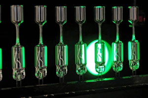 Energy Efficient Lighting Solutions Stampe: Halogen bulbs