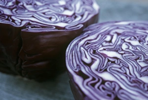 Brassica Oleracea Stampe: Halved red cabbage